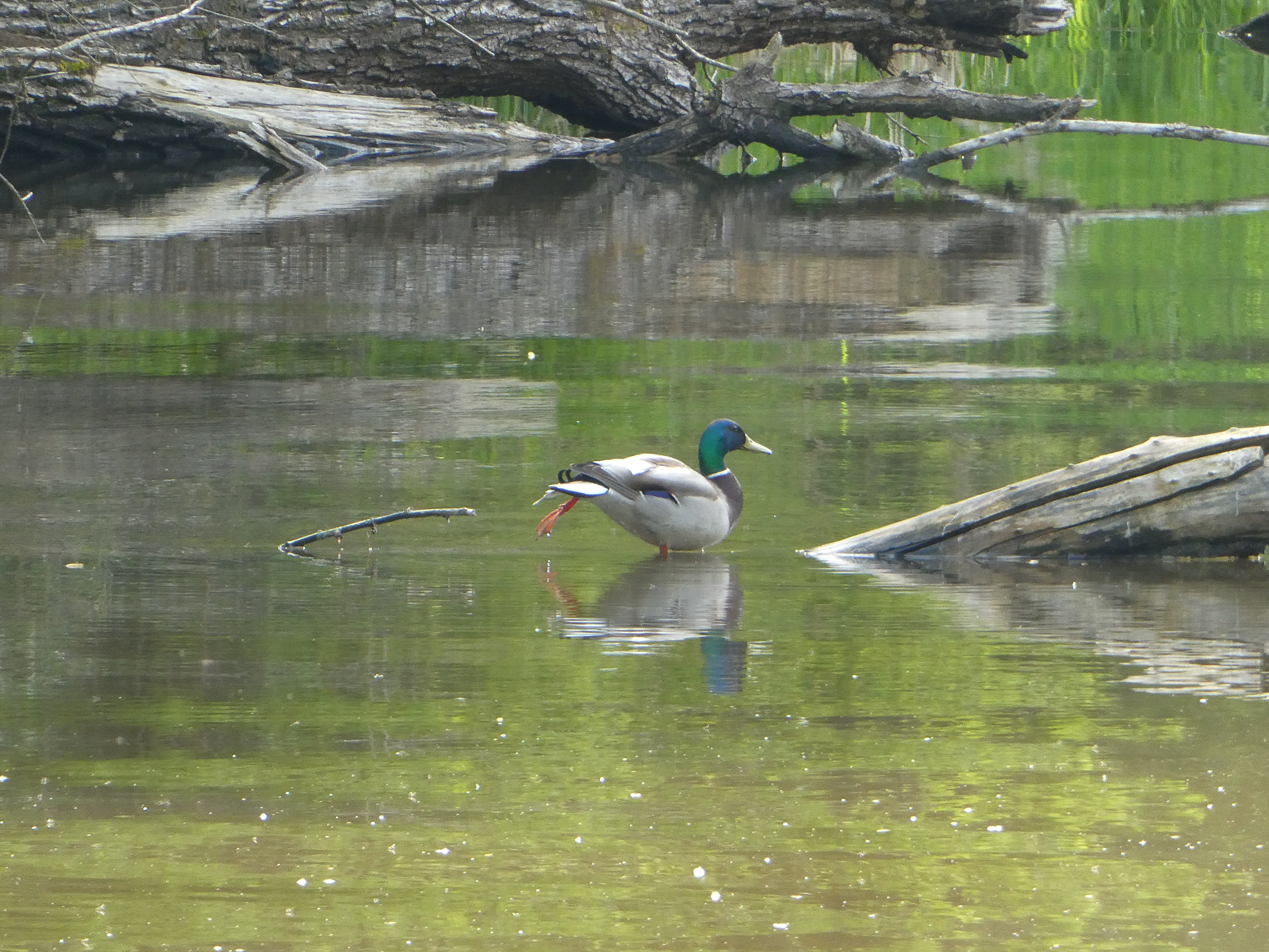 20230507095252 P1000236